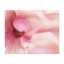 Pink Magnolia Flower - Magnolias Template Canvas Prints