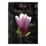 Pink Magnolia Mothers Day Card