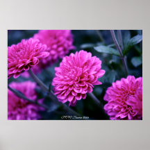 Pink Mum Surprise Poster