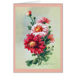 Pink Mums by Klein Greeting Card