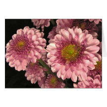 Pink Mums Easter Greeting Cards