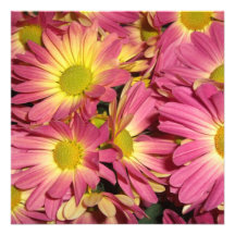 Pink Mums Invitations