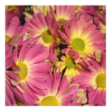 Pink Mums Invitations