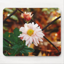 pink one mouse pad