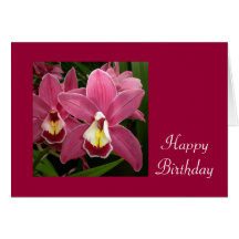 Pink Orchid Birthday Card