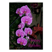 Pink Orchid Birthday Card