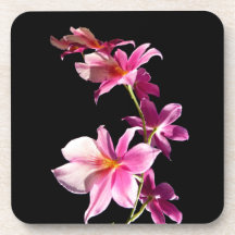 Pink Orchid. Coaster