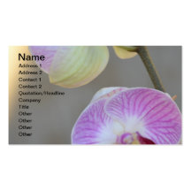 Pink Orchid Expression Business Card
