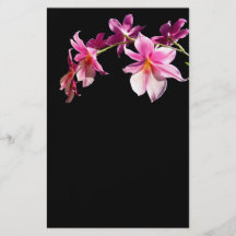 Pink Orchid. Full Color Flyer