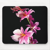 Pink Orchid. Mousepads