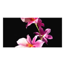 Pink Orchid. Personalized Photo Card