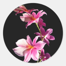 Pink Orchid. Round Stickers