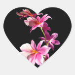 Pink Orchid. Stickers