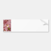 Pink Orchids Bumper Sticker