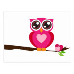 Pink Owl on Tree Branch Postcards