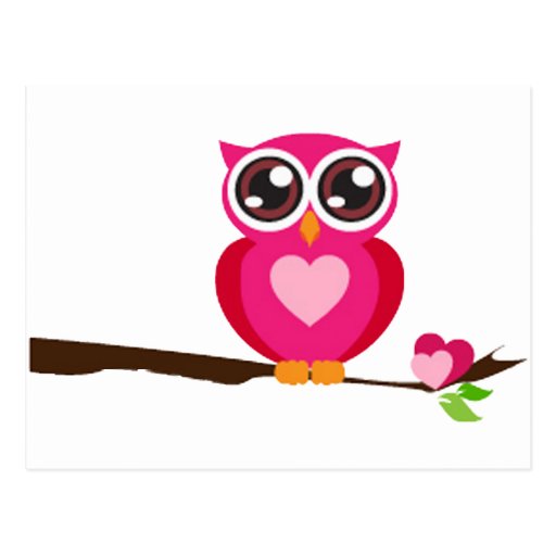 Pink Owl on Tree Branch Postcards