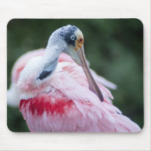 Pink Pelican Mouse Pad