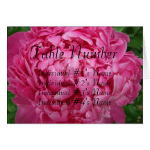 Pink Peony Wedding Table Place Card Template