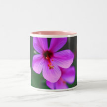 Pink Petal Two Tone Mug