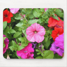 Pink Petunias Mouse Pads