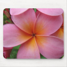 Pink Plumeria Mousepad