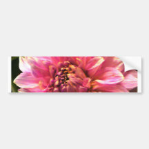 Pink Poof Bumper Sticker