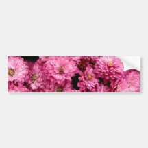 Pink Poofs Bumper Stickers