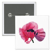Pink Poppy Closeup