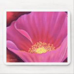 Pink Poppy Flower Painting Art - Multi Mouse Pads