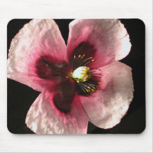 Pink Poppy Mouse Pad