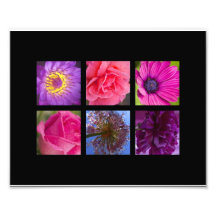 Pink & Purple Flowers Photographic Print