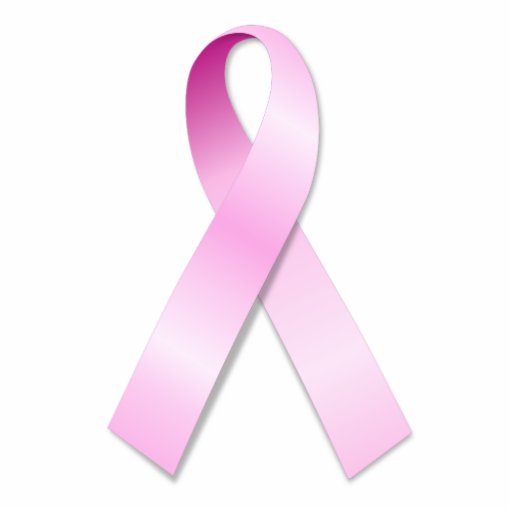 Pink Ribbon Key Chain Photo Cutouts