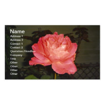 Pink Rose at Night Business Card