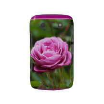 Pink rose  BlackBerry Bold Case-Mate Barely There™