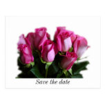 pink rose bouquet postcard