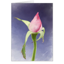 Pink Rose Bud Greeting Card