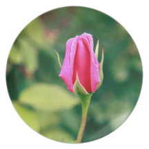 Pink rose bud party plates