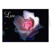 Pink Rose Card