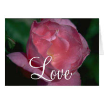 Pink Rose Card