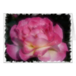Pink Rose Cards