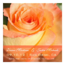 Pink Rose Flowers Save the Date Personalised Invitation