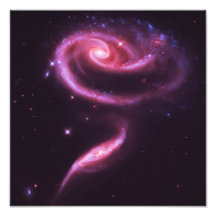Pink Rose Galaxies Photo