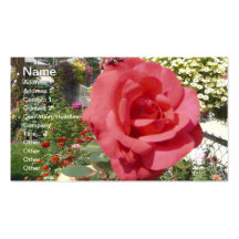 Pink Rose in Grandma's Garden Business Card