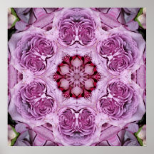 Pink Rose Jan 2013 Poster