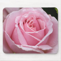 Pink Rose Mousepad