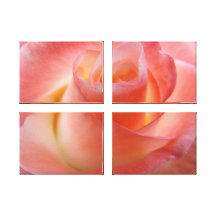 Pink Rose Photography canvas art prints Floral Stretched Canvas Print