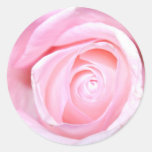 Pink Rose Round Stickers