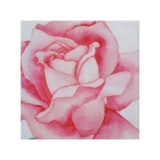 Pink Rose Watercolor cricketdiane canvas art Stretched Canvas Print