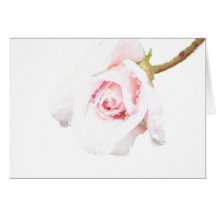 Pink Rose with rain drops Greeting Cards