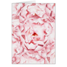 Pink Roses card